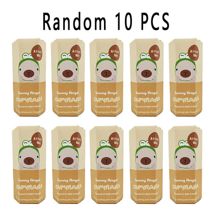 2025 New Sonny Angel Capybara Series Blind Box Anniversary Figure Gift