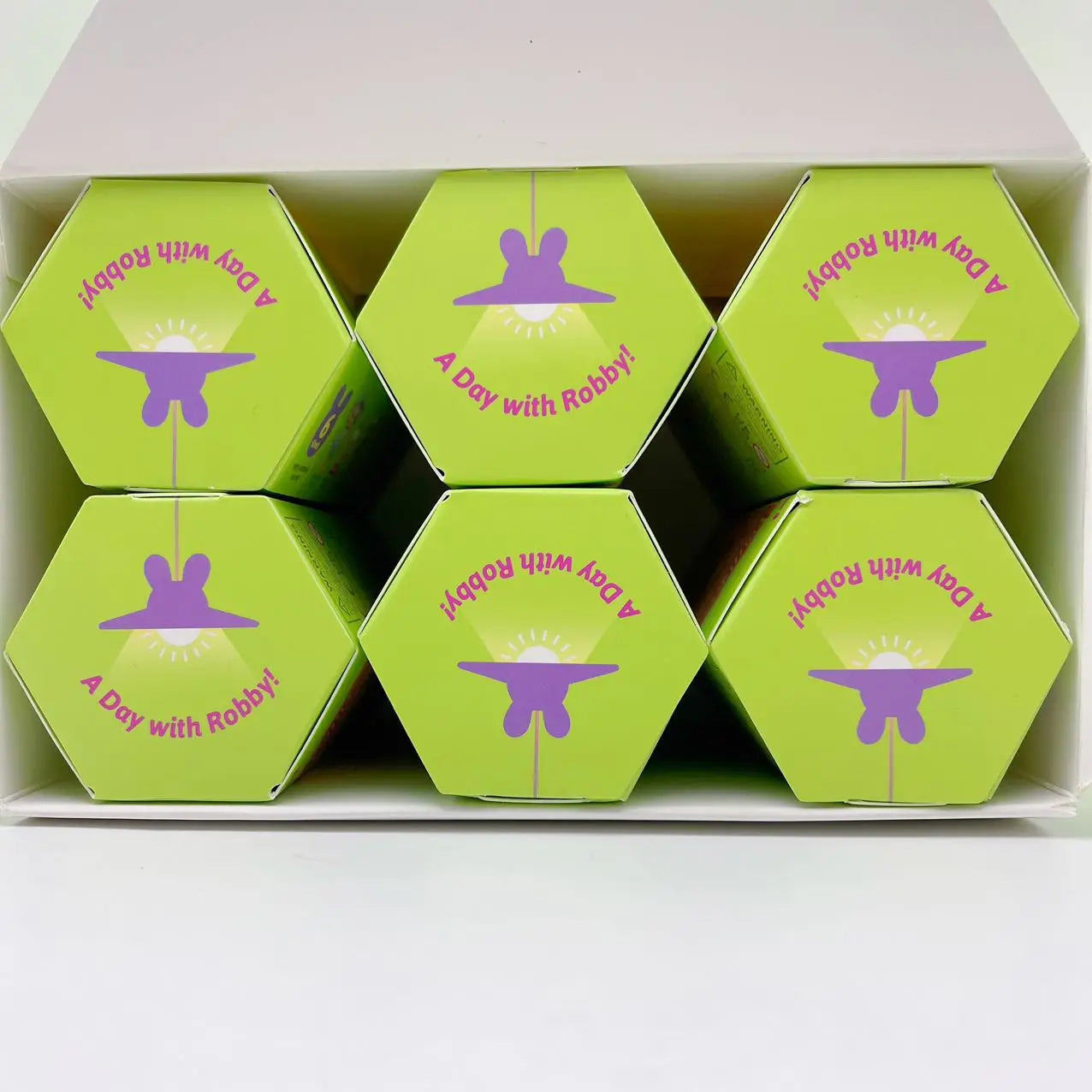 2025 Sonny Angel Home Sweet Home Series Blind Box Anniversary Figure Gift